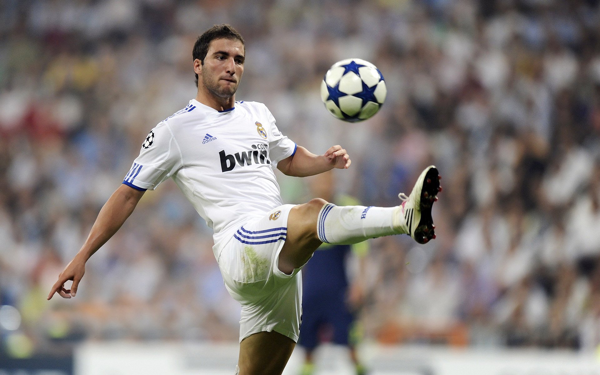 巴西骑手斯蒂芬·巴尔查在巴黎奥运会上获得个人障碍赛银牌，创造历史。